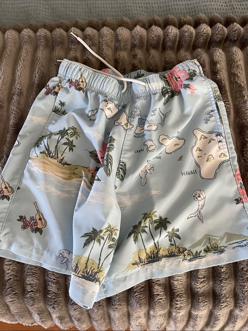 Hollister Light Blue Tropical Island Print Men’s Swim Shorts Size Small